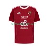 Tenue Al Ahly SC Domicile 2025-2026 Maillot de Foot